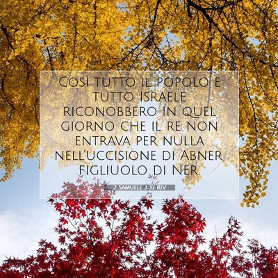 2 Samuele 3:37 Versetto della Bibbia Spiegato