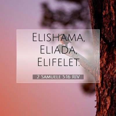 2 Samuele 5:16 RIV Immagine del Versetto della Bibbia
