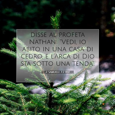 2 Samuele 7:2 RIV Immagine del Versetto della Bibbia