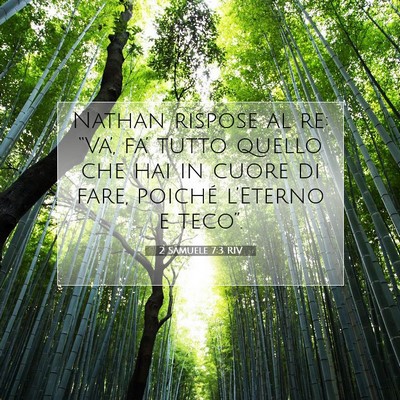2 Samuele 7:3 Versetto della Bibbia Spiegato