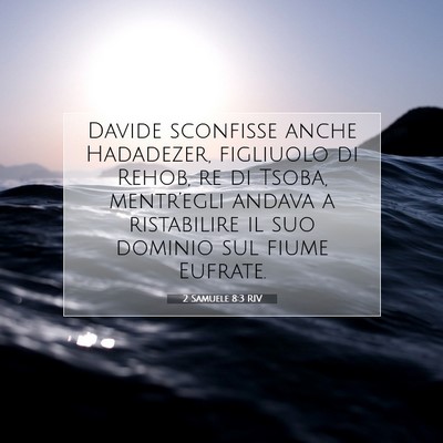 2 Samuele 8:3 RIV Immagine del Versetto della Bibbia