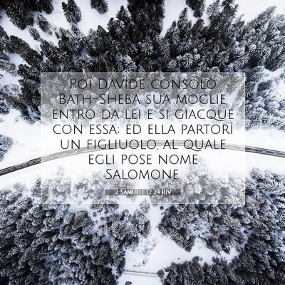 2 Samuele 12:24 RIV Immagine del Versetto della Bibbia