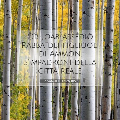 2 Samuele 12:26 RIV Immagine del Versetto della Bibbia