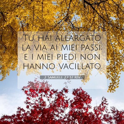 2 Samuele 22:37 Versetto della Bibbia Spiegato