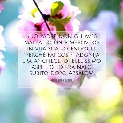 1 Re 1:6 Versetto della Bibbia Spiegato
