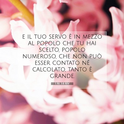 1 Re 3:8 Versetto della Bibbia Spiegato