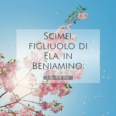 1 Re 4:18 Versetto della Bibbia Spiegato