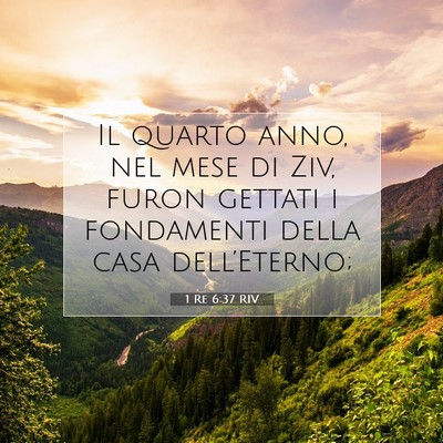 1 Re 6:37 RIV Immagine del Versetto della Bibbia