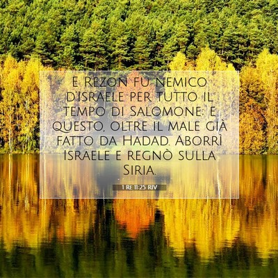 1 Re 11:25 Versetto della Bibbia Spiegato