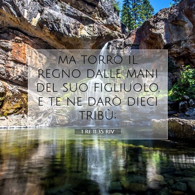 1 Re 11:35 RIV Immagine del Versetto della Bibbia