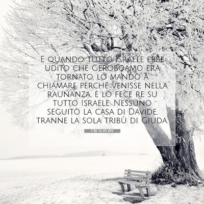 1 Re 12:20 RIV Immagine del Versetto della Bibbia