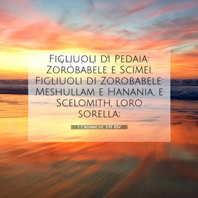 1 Cronache 3:19 RIV Immagine del Versetto della Bibbia