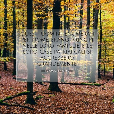1 Cronache 4:38 Versetto della Bibbia Spiegato