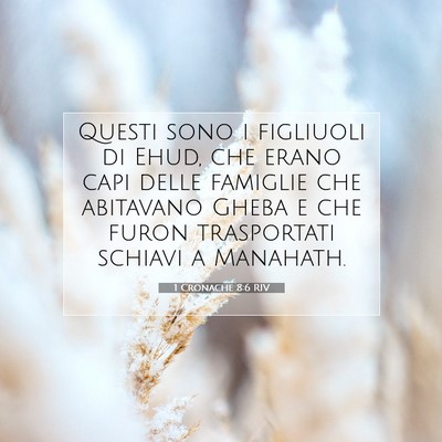 1 Cronache 8:6 Versetto della Bibbia Spiegato