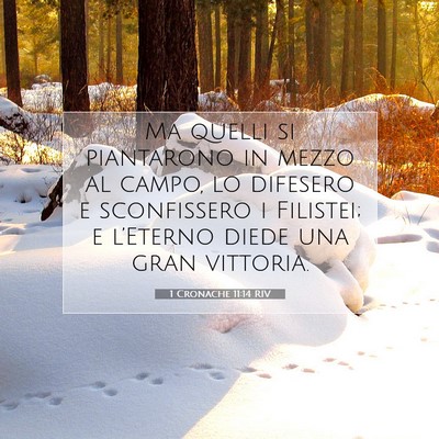 1 Cronache 11:14 Versetto della Bibbia Spiegato
