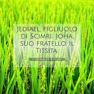 1 Cronache 11:45 Versetto della Bibbia Spiegato