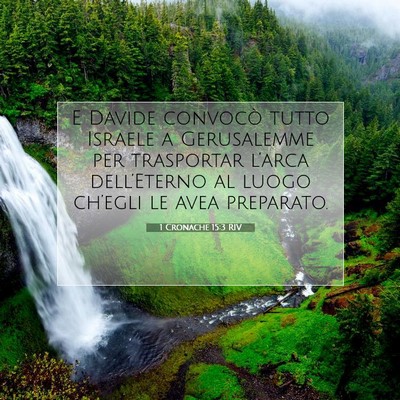 1 Cronache 15:3 RIV Immagine del Versetto della Bibbia