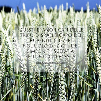 1 Cronache 27:16 RIV Immagine del Versetto della Bibbia