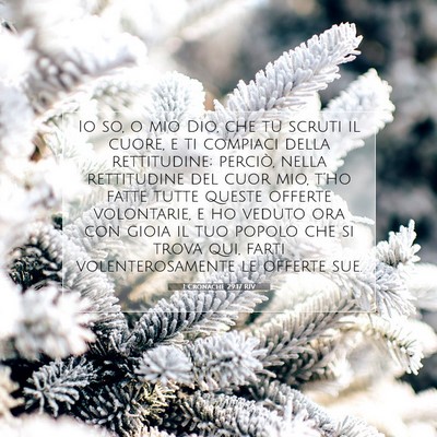 1 Cronache 29:17 RIV Immagine del Versetto della Bibbia