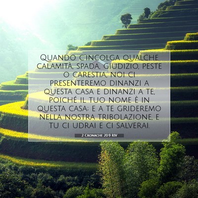 2 Cronache 20:9 RIV Immagine del Versetto della Bibbia