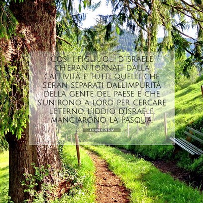 Esdra 6:21 RIV Immagine del Versetto della Bibbia