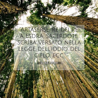 Esdra 7:12 RIV Immagine del Versetto della Bibbia