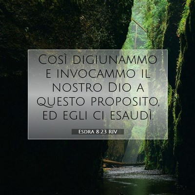 Esdra 8:23 RIV Immagine del Versetto della Bibbia
