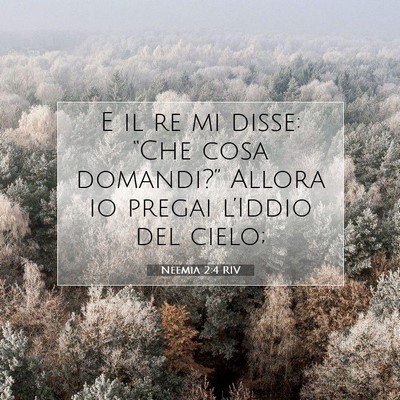 Neemia 2:4 RIV Immagine del Versetto della Bibbia
