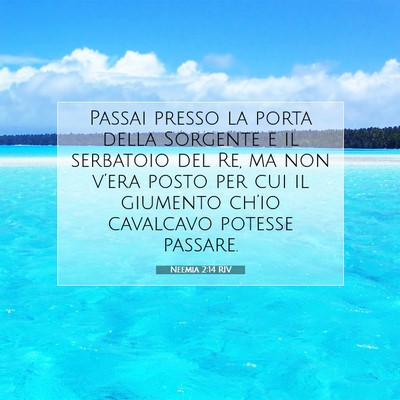 Neemia 2:14 RIV Immagine del Versetto della Bibbia
