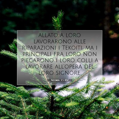 Neemia 3:5 Versetto della Bibbia Spiegato