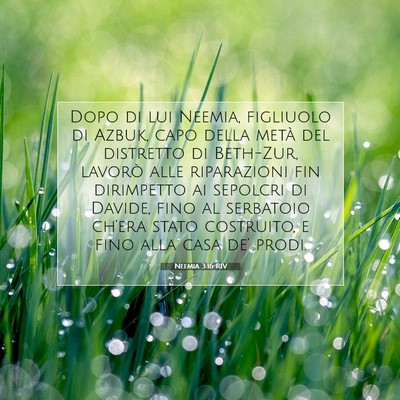 Neemia 3:16 Versetto della Bibbia Spiegato