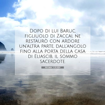 Neemia 3:20 RIV Immagine del Versetto della Bibbia