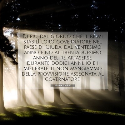 Neemia 5:14 RIV Immagine del Versetto della Bibbia