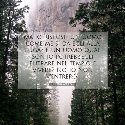 Neemia 6:11 Versetto della Bibbia Spiegato