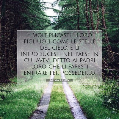 Neemia 9:23 RIV Immagine del Versetto della Bibbia