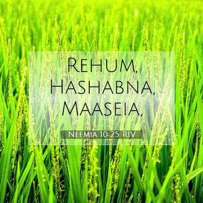 Neemia 10:25 Versetto della Bibbia Spiegato