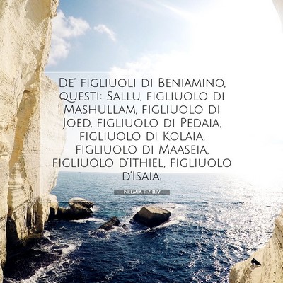 Neemia 11:7 RIV Immagine del Versetto della Bibbia