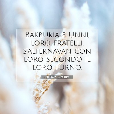 Neemia 12:9 Versetto della Bibbia Spiegato