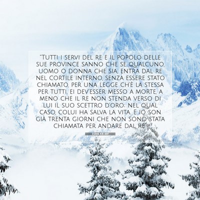 Ester 4:11 RIV Immagine del Versetto della Bibbia