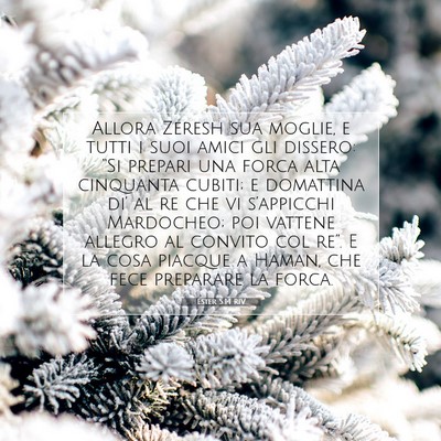Ester 5:14 RIV Immagine del Versetto della Bibbia