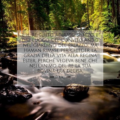 Ester 7:7 RIV Immagine del Versetto della Bibbia