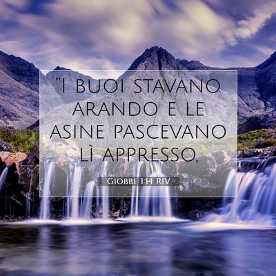 Giobbe 1:14 Versetto della Bibbia Spiegato