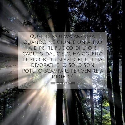 Giobbe 1:16 Versetto della Bibbia Spiegato