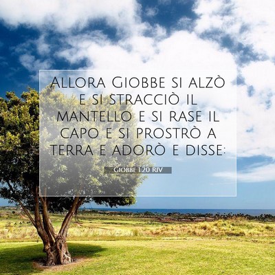 Giobbe 1:20 Versetto della Bibbia Spiegato