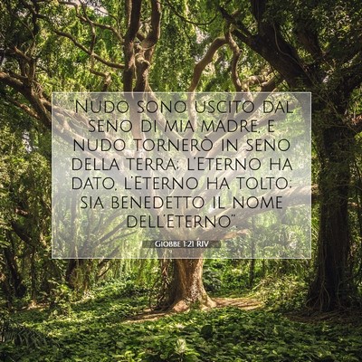 Giobbe 1:21 Versetto della Bibbia Spiegato