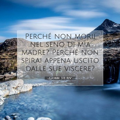 Giobbe 3:11 RIV Immagine del Versetto della Bibbia