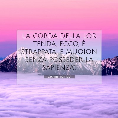 Giobbe 4:21 Versetto della Bibbia Spiegato