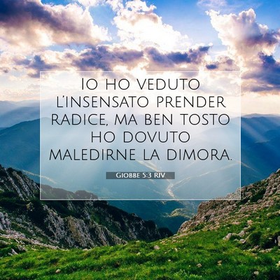 Giobbe 5:3 Versetto della Bibbia Spiegato
