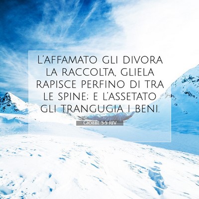 Giobbe 5:5 Versetto della Bibbia Spiegato