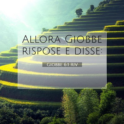 Giobbe 6:1 RIV Immagine del Versetto della Bibbia